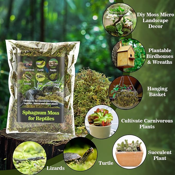 Sphagnum Moss for Reptiles - 7 Oz Reptile Moss Peat Terrarium Moss Bedding Reptiles Lizard Substrate for Reptile Tank, Snake, Leopard Gecko, Ball Python, Crested Gecko, Turtle, Frog, Hamster