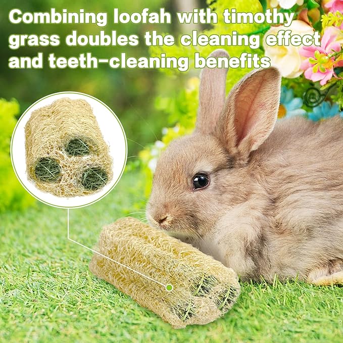 BNOSDM Bunny Chew Toys Natural Loofah 6PCS Bunny Teeth Grinding Toy Rabbit Fiber-Rich Treats Pet Entertainment Accessories for Rabbits Chinchillas Guinea Pig（L）