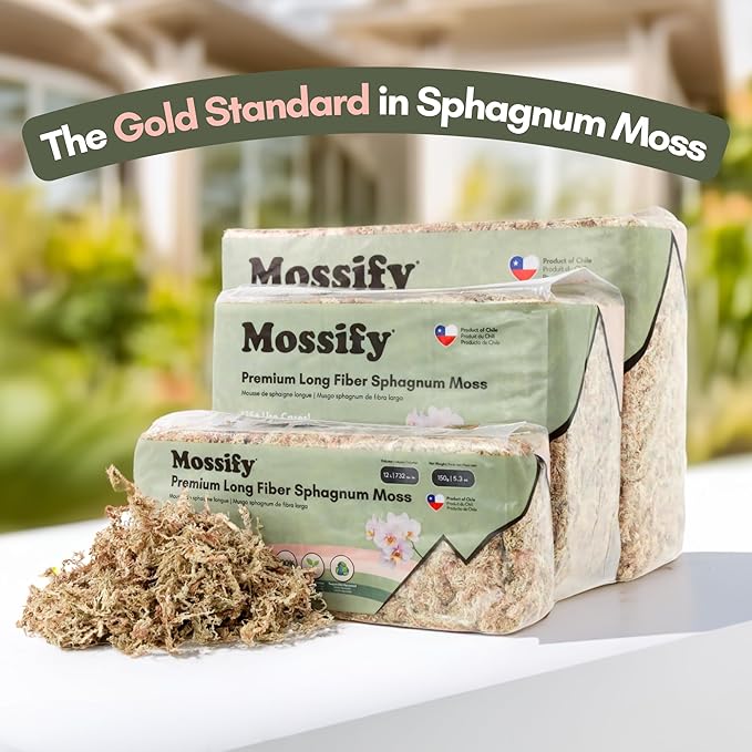 Mossify Premium Sphagnum Moss for Plants 500g, 1.1 lbs – Long Fiber Moss for Plants Indoor, Orchids, Terrariums, Gardening, Reptiles – Moisture Plant Moss for Propagation, Soil & Habitat Bedding