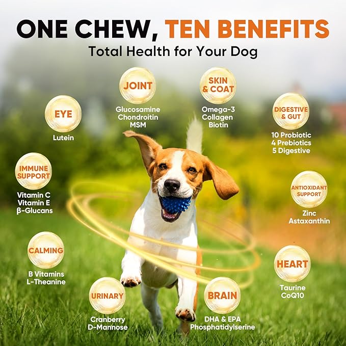 Dog multivitamin Soft Chews–Glucosamine, Chondroitin, MSM, Probiotics, Enzymes, Omega-3–Joint Support, Gut Health, Skin & Coat–Daily Maintenance & Preventive Care–Dog Supplements & Vitamins–180 Chews