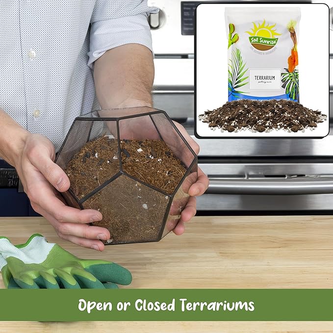 Soil Sunrise Terrarium Potting Soil Mix (8 Quarts) w/Blended Filtering Charcoal Custom Made for Terrariums
