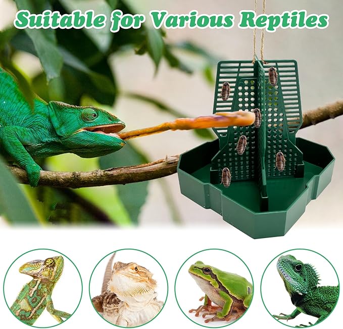 Chameleon Feeding Bowl Hanging Bearded Dragon Feeder Bug Bowls with Rope and Tweezers Mounted Insect Reptile Feeder Box for Lizard Gecko Frog (Green,Small)