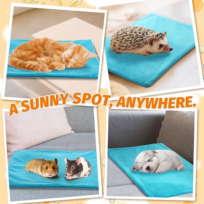 ANPHSIN Pet Heating Pad for Small Animal - Fire Retardant Heated Pad with Overload Protection Anti Chew Cord for Puppy Kittens Chicks Rabbits Ferrets Hedgehogs Outdoor Indoor 15.7 x 12 Inches