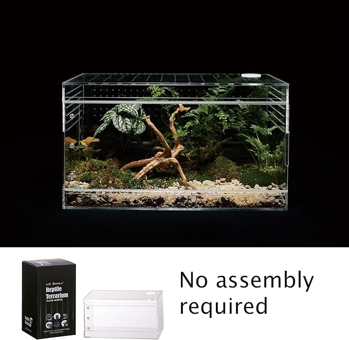 Acrylic Terrarium for Reptiles & Spiders – Small/Medium/Large Leak-Proof Enclosure (Horizontal/Vertical) | Ideal for Tarantulas, Jumping Spiders, Frogs & Geckos(Large Horizontal)