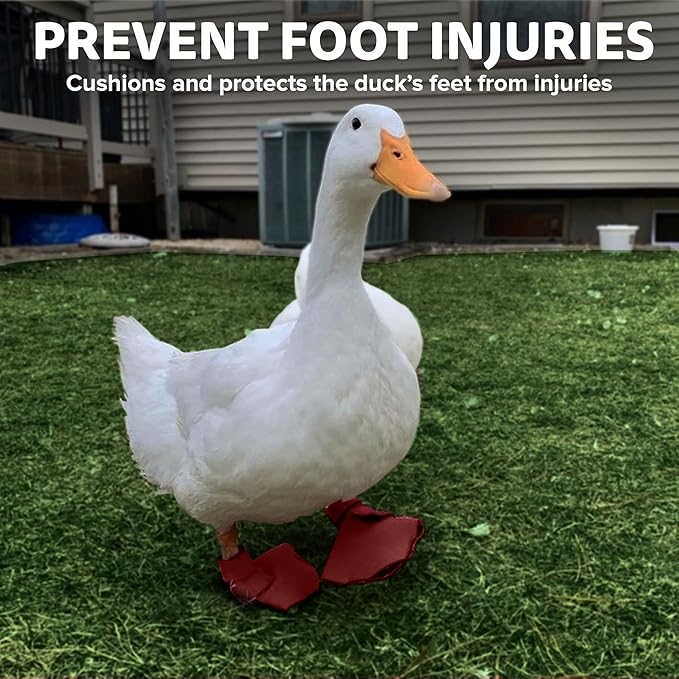 Duck Shoes for Injured Feet – Protective Neoprene Footwear for Ducks, Protective Shoes for Birds with Injured feet, Bumblefoot Relief - Medium, 3.5” Max. Inside Width - Red