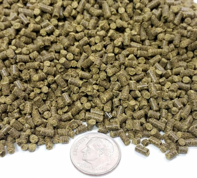 Aquatic Foods Inc. Calcium Blocks Included in These Spirulina Sinking Pellets for Shrimp, Snails, Crabs, Catfish, Plecos for All Tropical Fish 1/16" x 3/8" Pellets by Zeigler.12oz Small Jar