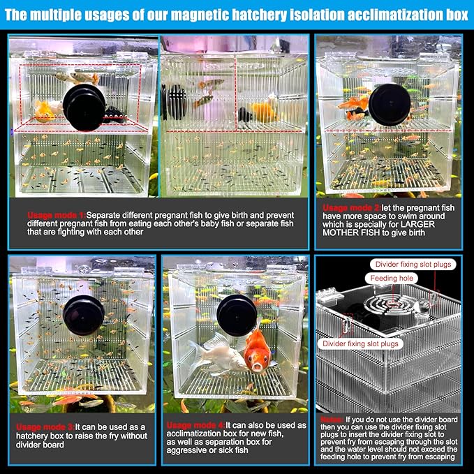 Magnetic Fish Breeder Box for Isolation Boxes (4.71 Inch with 2 Divider（Sealed Bottom Version）)