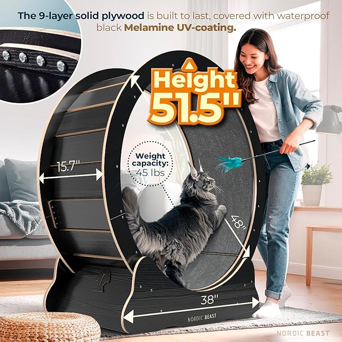 48'' XL Cat Wheel – Safe, Quiet & Stable Exercise Wheel for Large Indoor Cats up to 45 lbs – 15.7'' Extra-Wide Surface Fits 2 Cats Side by Side & Prevents Wobbling, 1-Year Warranty