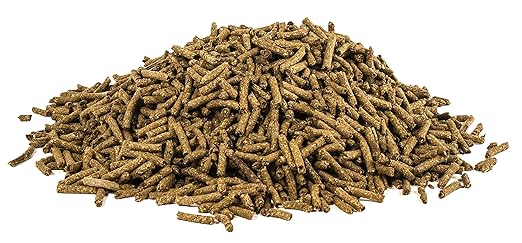 UltraCruz Equine MSM®, 10 lb