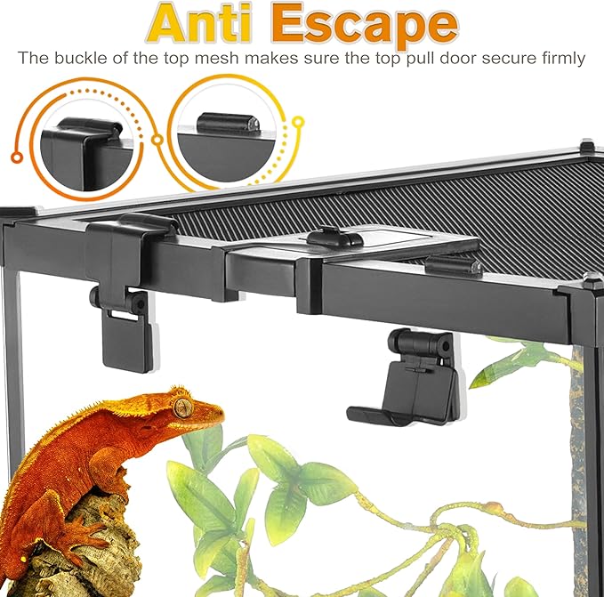 Mini Reptile Glass Terrarium Vivarium 12'' x 12'' x 12'' Full View Tank Small Amphibians Glass Habitat Cage with Feeding Slot & Box Lock Buckle