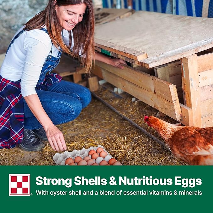 Purina Layena + High Protein Layer Chicken Feed (40 Pound)