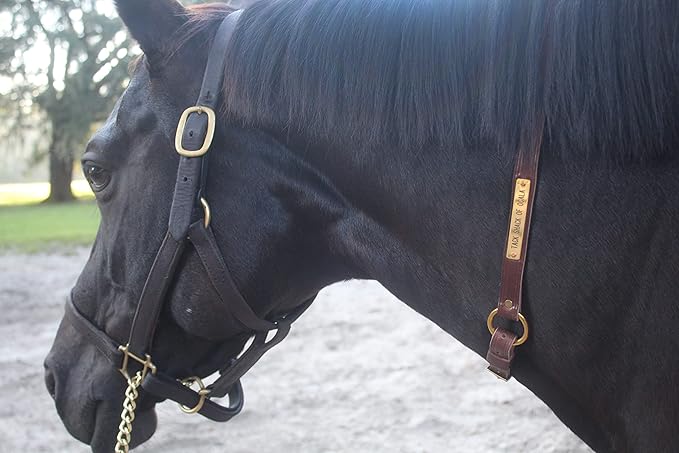 Neck Straps with Custom Engraved Name Plate for Horse| Pony, Horse, Yearling, and Adjustable Light Brown Leather with Brass Plate Optional