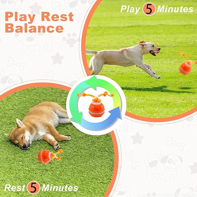 2Paks Interactive Dog Toys，Peppy Pet Ball for Dogs，Motion Activate Rolling Ball for Puppy/Medium Dogs，Active Rolling Dog Bal l Wicked Bal l for Daily Training, Dog Toys to Keep Them Busy(Blue&orange)
