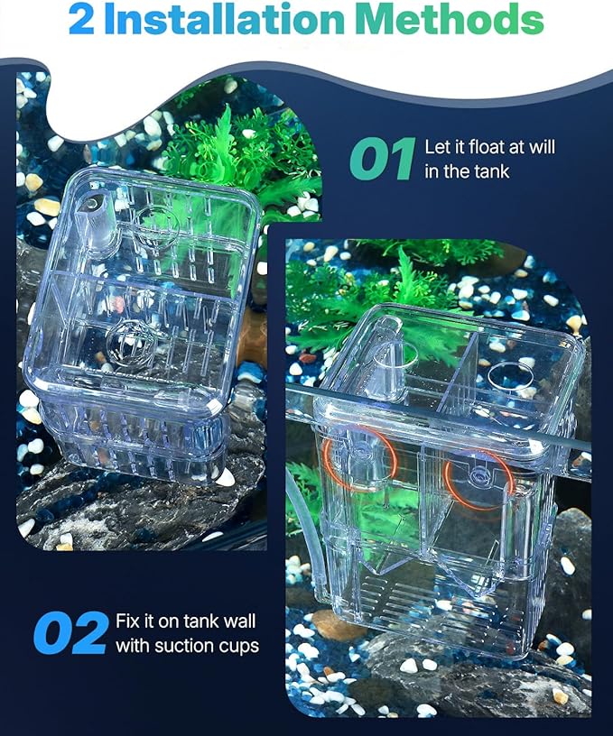Pawfly Aquarium Breeder Box - Transparent Plastic, Incubator for Fish Fry, Hatchery & Isolation Box for Aggressive Fish & Shrimp