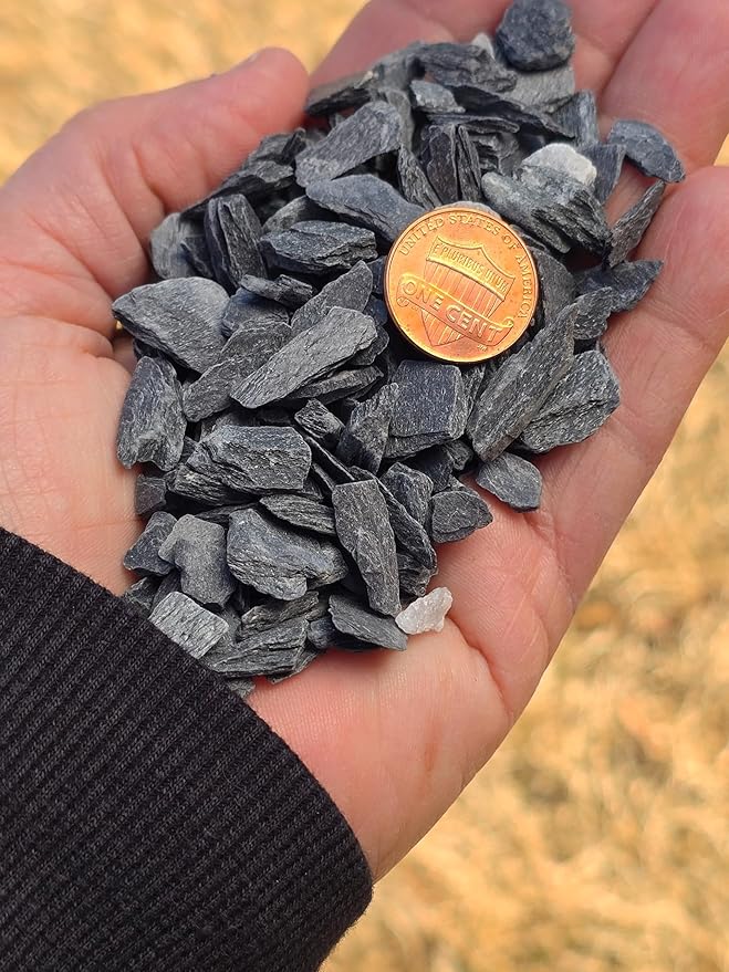 Small World Slate & Stone Aquarium Gravel 6lbs - Natural Substrate for Aquascaping Planted, Freshwater and Saltwater Tanks - Grey - Gravel Size Approx. 1/4"-1/2" (6 lbs)