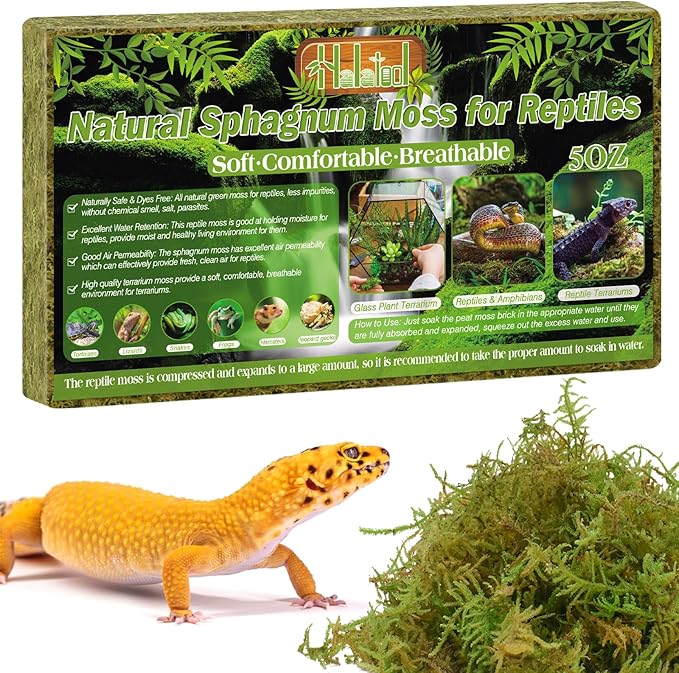 Halatool 5OZ Natural Sphagnum Moss for Reptiles- 8QT Green Moss for Terrarium Plants Long Fiber Reptile Moss for Leopard Gecko Snake Hamsters Tortoises Frogs Lizards Salamanders