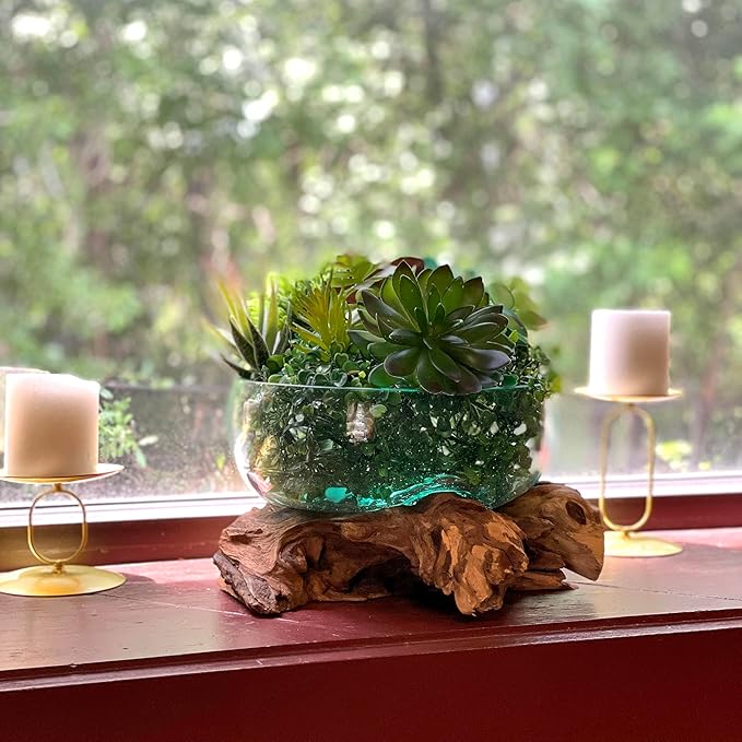 Molten Glass Bowl on Driftwood, 10 Inch Low Wide Hand Blown Decorative Bowl, Unique Natural Wood and Glass Sculpture, Table Centerpiece, Planter or Terrarium, Driftwood and Glass Bowl Decor for Home