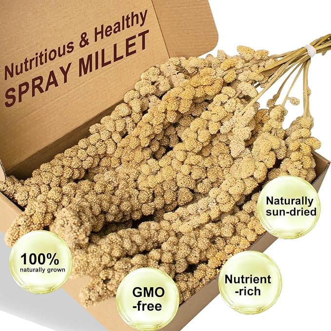 Sun-Dried Spray Millet for Birds - 0.88LBS Natural Non GMO, Healthy Millet Bird Treat, Bird Treats for Parakeets, Parrots, Cockatiels, Lovebirds, Finches & Canaries Food
