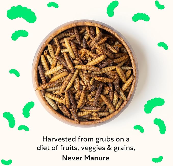Grubbly Farms Grubblies - Black Soldier Fly Larvae for Chickens - Chicken Treats Grown in The US and Canada - for Strong Eggshells and Healthy Feathers - Grubblies Hometown Harvest 1LB