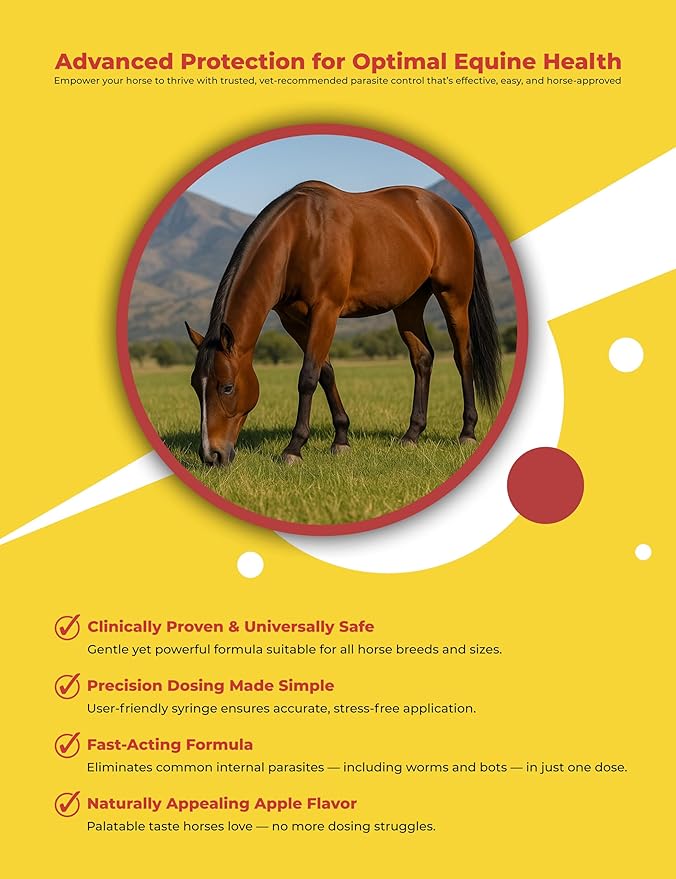 Horse Paste Gel 1.87% – Apple Flavored Oral Syringes – 6.08g Each (2-Pack) – Adjustable Weight Markings – for Equine Use
