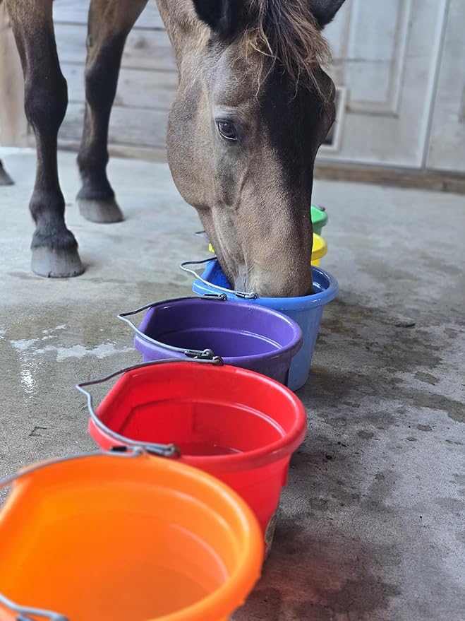 Low Calorie Hydration, Feed Topper & Treat | Safe, NO Electrolyte/Salt for Daily Intake | No Sugar Added | Hydration Support for Horses, Livestock & Dogs | 8 Servings | Basic Batch