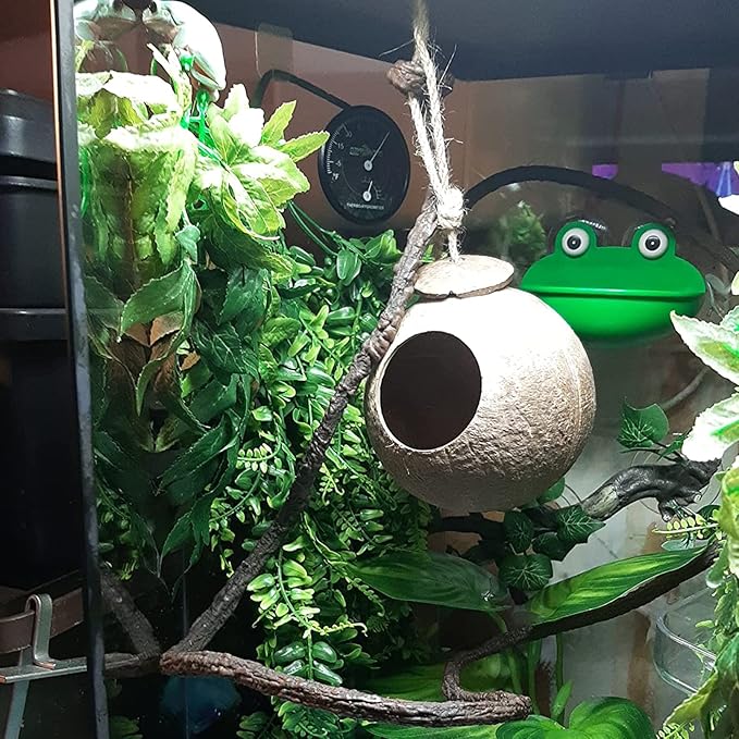 Crested Gecko Coconut Hide Natural Lizard Coco Hut Reptile Hanging Nest Flexible Vine Habitat Decoration Bearded Dragon Terrarium Accessories for Chameleon Tree Frog Snake Hermit Crab