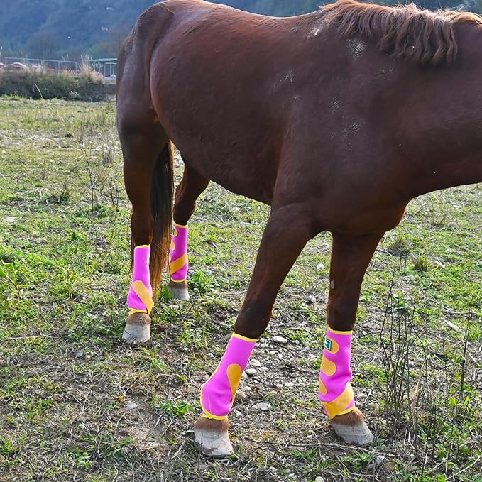 Equine Sport Horse Boots Set of 4 – Neoprene Leg Protection with Durable Hook & Loop Straps, Breathable & Comfortable Fit for Training, Riding, and Performance（Pink, Large）
