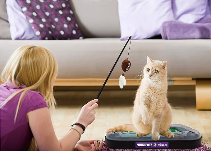NFL Minnesota Vikings Football Field Cat Scratcher With Catnip Filled Plush Football & Feather Toy Hanging, Jingle Bell Interactive Ball Chasing 5-in-1 Kitty Toy