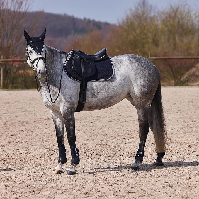 HORZE Adepto Open Front Tendon Boots | Durable Shell with Neoprene Lining - Dark Navy - Horse