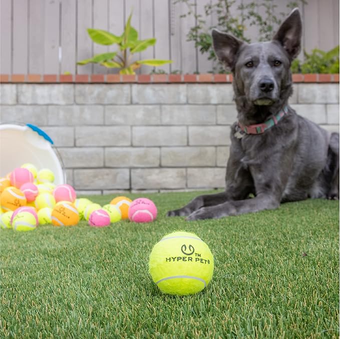 Hyper Pet Tennis Balls for Dogs - 12 Pack 2.5'' Durable Non-Toxic Outdoor Dog Toys Balls with Mesh Bag, for Fetch & Excercise, Medium to Large Breeds (Non Squeaky)