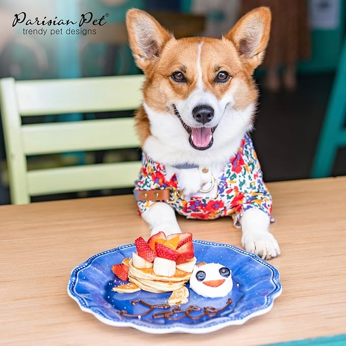 Parisian Pet Floral Dog Shirt - 100% Cotton Summer Clothes - Stylish Beach Outfit - Hook and Loop Closure - Machine Washable - 2XL