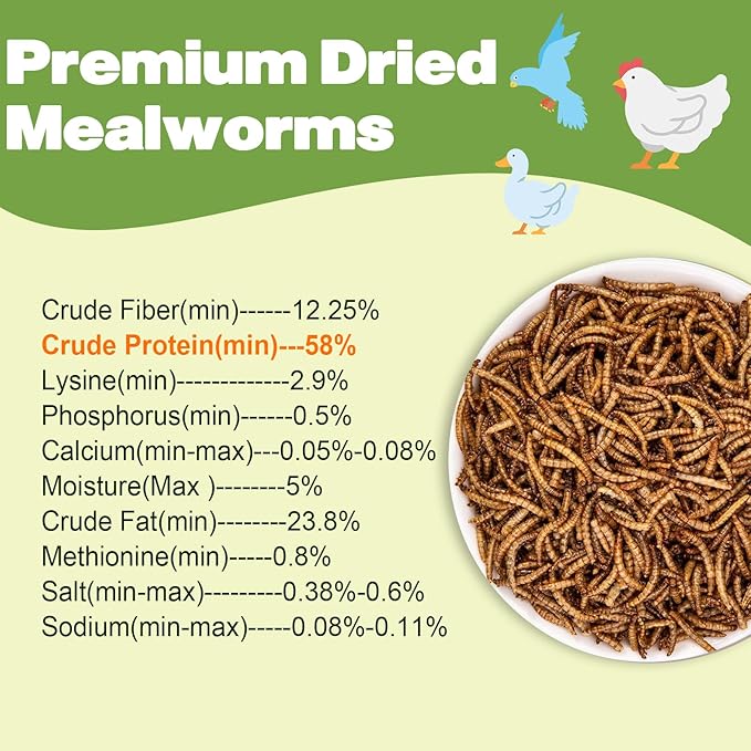 Dried Mealworms - 5 LBS - 100% Natural Non-GMO High Protein - Bulk Mealworms for Wild Birds, Chickens, Pet Treats & Reptile Food