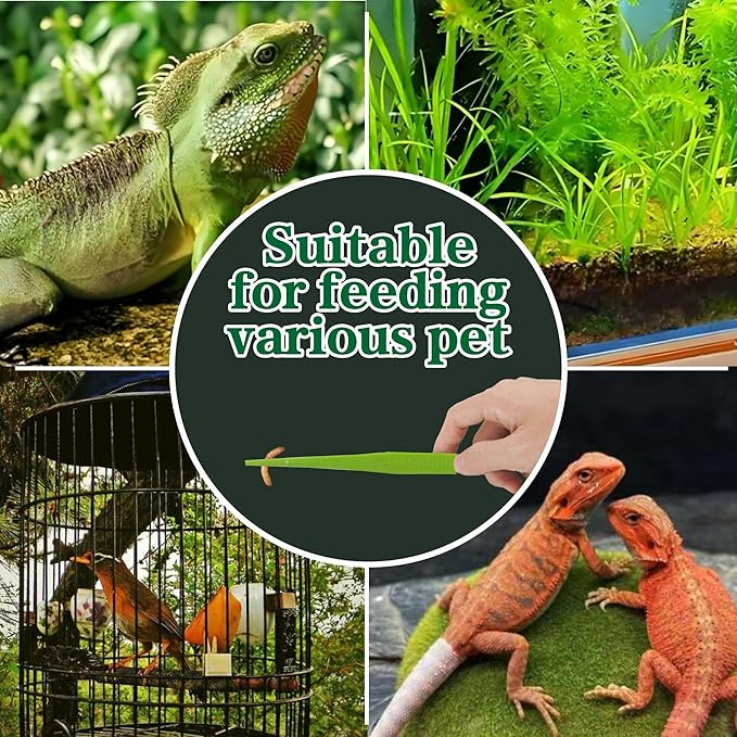 4-Pack Reptile Feeding Tongs Set - Hygienic Anti-Slip Green Tweezers for Bearded Dragons, Lizards, Snakes, Aquariums & Small Animals