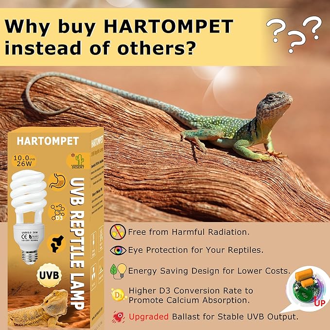 UVB 105.0 Reptile Light 13W, Compact Fluorescent Lamp，Coil UVB Desert Bulb–Lighting for Bearded Dragons, Lizards, Tortoises, Snakes, Geckos, Amphibians & Small Reptile Tanks