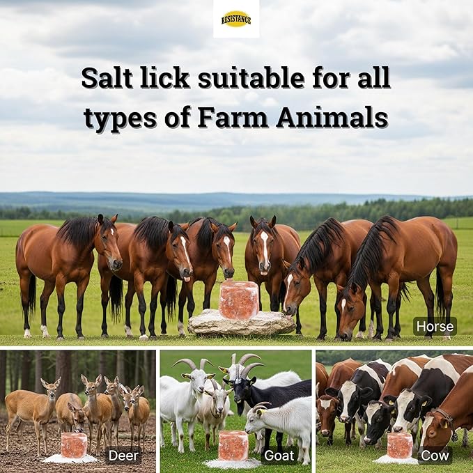 RESISTANCE Himalayan Salt Lick 2lb Block on Rope for Horses, Cattle, Deer, Goats, and Livestock – Pack of 6 Blocks
