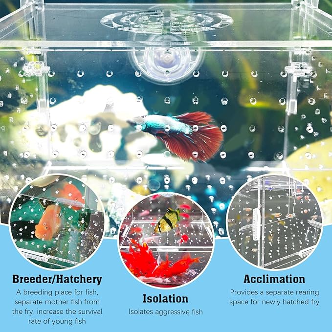 Hamiledyi Acrylic Breeding Isolation Box - Transparent Aquarium Hatchery for Guppy/Shrimp/Small Fish, Safe Nursery Tank with Air Tube & Suction Cups(5.9" × 3.9" × 3.9")