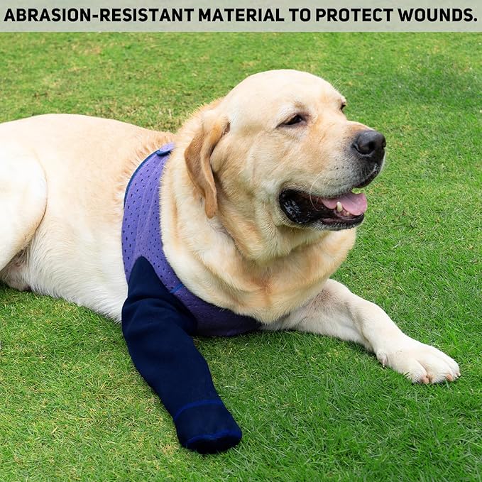 COODEO Dog Socks to Prevent Licking Paws, Healing Boots & Paw Protectors with Non-Slip Bottoms for Wound Protection, Waterproof Sleeve Shoes for Licking（Purple，L_Right