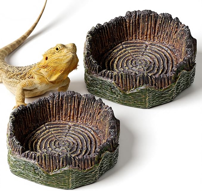 2 PCS Small Reptile Food Dish Reptile Water Dish Food Bowl Reptiles Feeding Foods Resin Terrarium Bowl for Bearded Dragon Gecko Frog Snake Chameleon Tortoise