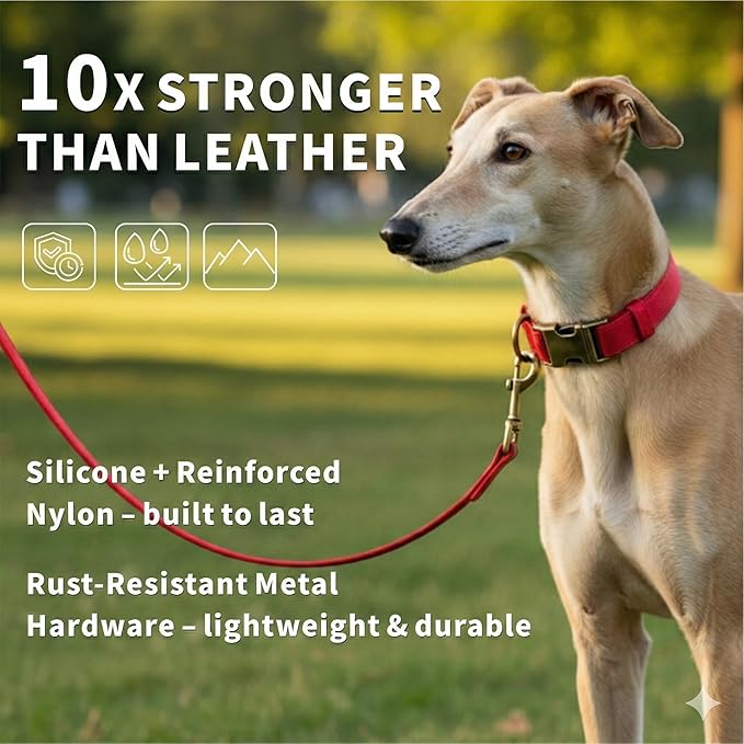 Silicone Dog Collar and Leash Set, Waterproof & Odor-Proof Puppy Collar for Small Dogs, Soft Flexible Leather-Look Dog Collars, Durable Thick Adjustable Pet Collar (Red, Small (9-14" Neck))