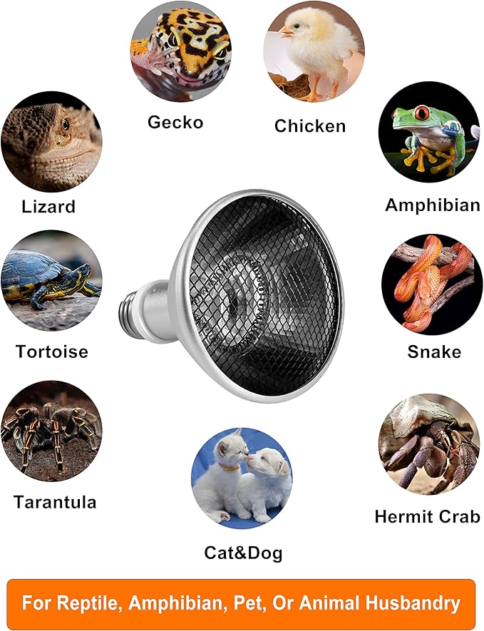 Deep Heat Projector - DHP 80W Infrared Reptile Heat Lamp Bulbs for Turtle Light Bearded Dragon Chicken Lizard Leopard Gecko Snake