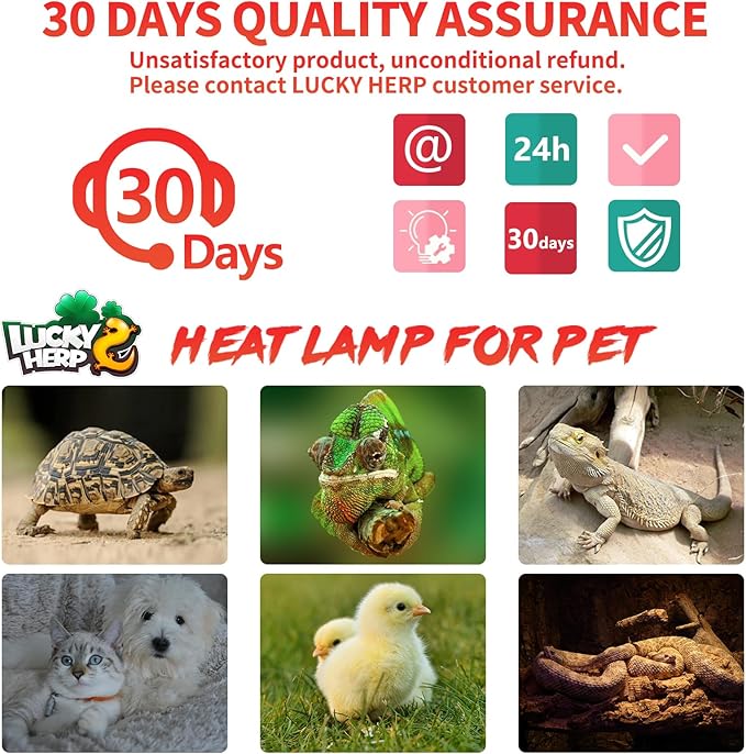LUCKY HERP Reptile Heat Lamp - 100W Ceramic Heat Emitter Reptile Heat Lamp Bulbs (1 Pack), No Light Ceramic Heat Bulb, Heat Lamp for Reptiles Amphibian Chicken Pet Brooder Coop Lizard Turtle