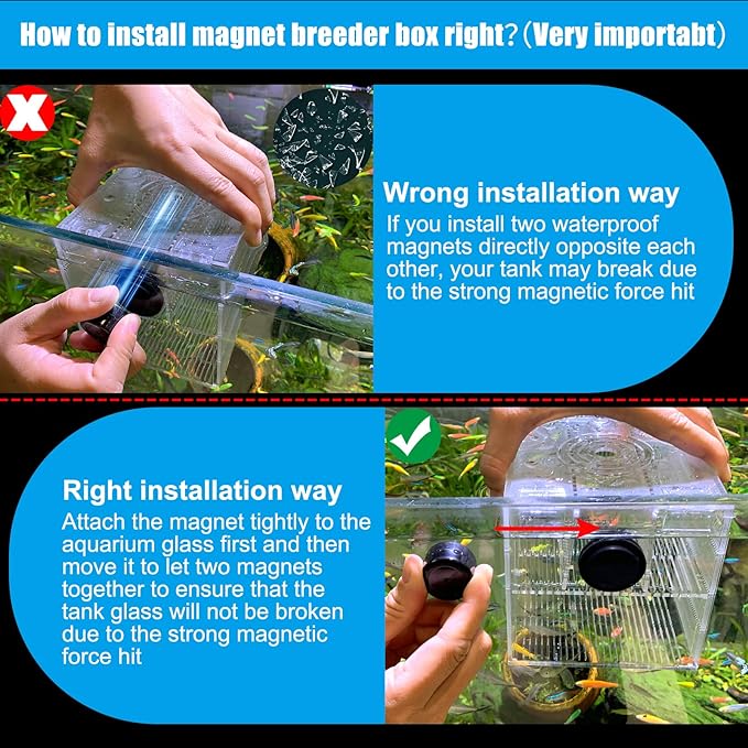 Magnetic Breeder Box for Tank Isolation Box Acclimation Hatchery Fish breeding Incubator with 3 Divider for Guppy Baby Betta Saltwater Anemones or Injured Fish（Sealed Bottom Version）