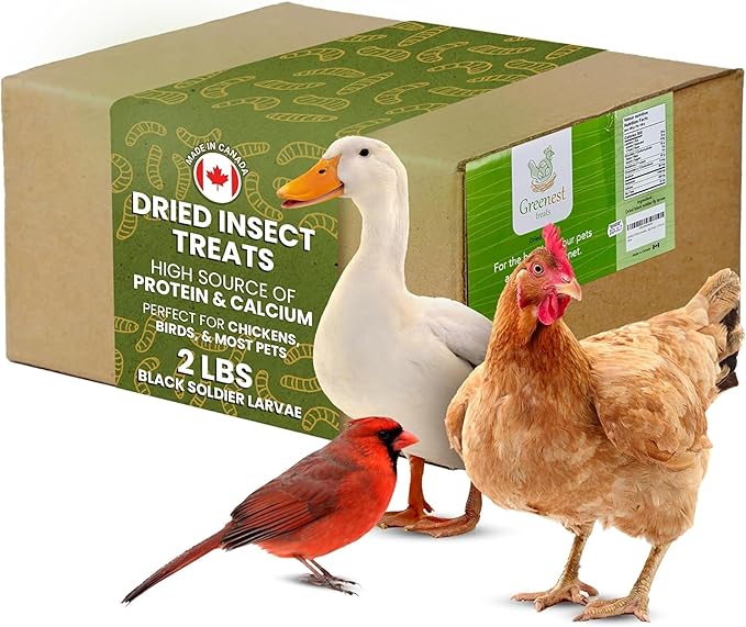 Dried Black Soldier Fly Larvae for Chicken - Treats for Hens, Duck, Wild Birds, Lizard, Tortoise, Fish - All Natural High Protein Dried Mealworms Alternative - Made in North America