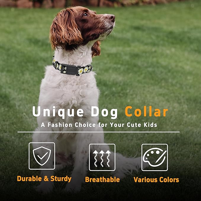Dog Collar, Daisy Boys Girls Puppy Collar for Small Medium Large Dogs, Adjustable Soft Floral Pet Collar with Safety Buckle for Male Females(Black Daisy,XS)