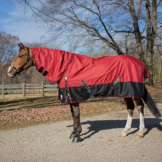 Equinavia Norse Lightweight 100g Fill Horse Rain Blanket | Waterproof Turnout Sheet - Black - 66 in - Equestrian Red - 72 in