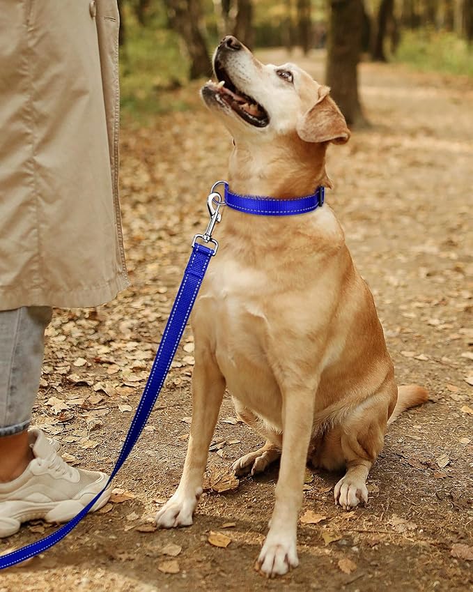 TagME Reflective Nylon Dog Collars, Adjustable Classic Pet Collar with Quick Release Buckle for Extra Large Dogs, Royal Blue, 1¼" Width