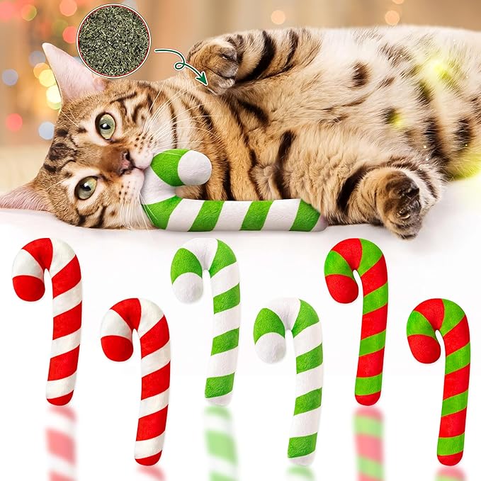 MALLMALL6 6Pcs Christmas Candy Cane Catnip Toys Gift for Indoor Chew Bite Kick Catmint Pet Supplies, Cute Interactive Toy for Cat Lover Xmas Presents (Tricolor)