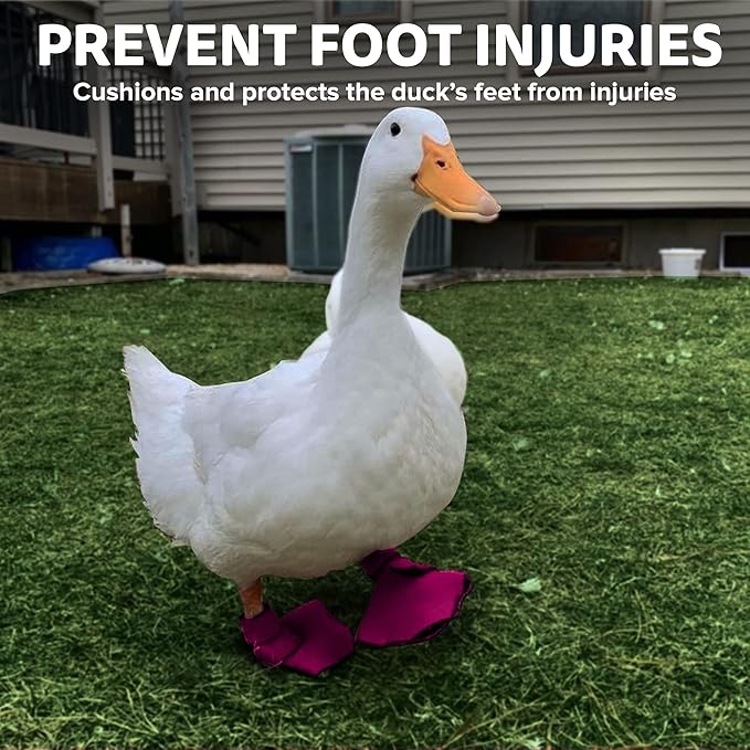 Duck Shoes for Injured Feet – Protective Neoprene Footwear for Ducks, Protective Shoes for Birds with Injured feet, Bumblefoot Relief - Small, 2.5’’ Max. Inside Width - Pink