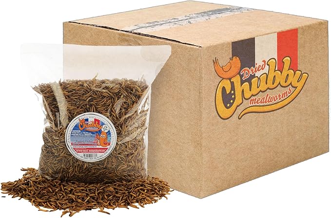 Chubby Dried Mealworms 24 lbs – Premium EU-Grown Non-GMO Protein Treats for Chickens, Ducks, Wild Birds & Reptiles – High-Protein Chicken Feed Snack for Laying Hens