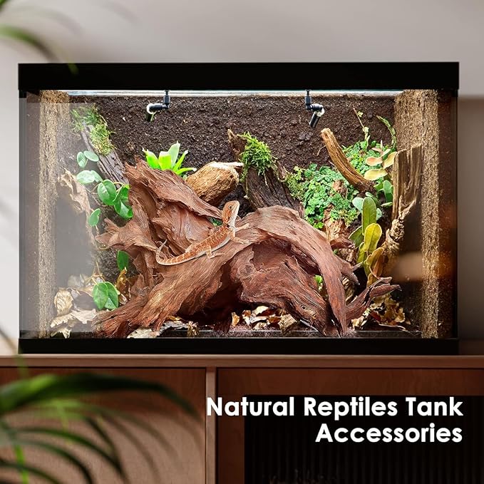 Jorewood Natural Aquarium Driftwood for Fish Tanks & Reptile Terrariums – Safe Fish Tank Decorations, Unique Twisted Branches 2-Piece 10-14 Inch Low Tannin, Easy to Sink